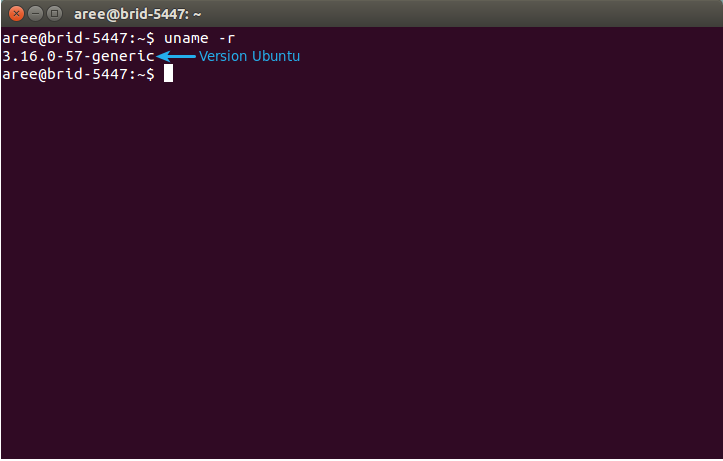 3.หน้าจอจะแสดง Version Ubuntu